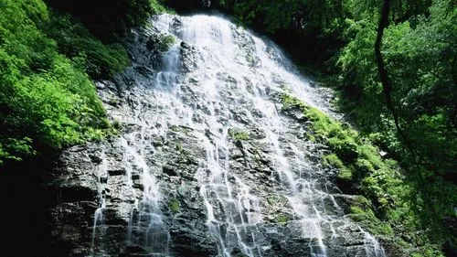 高效智能